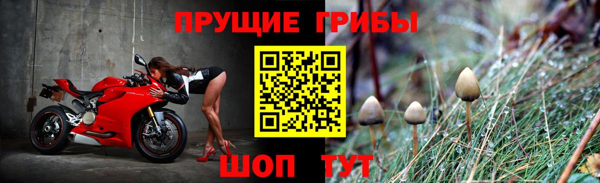 Россошь  Галлюциногенные грибы мицелий  Вход с VPN  Псилоцибиновые грибы MAGIC MUSHROOMS 
